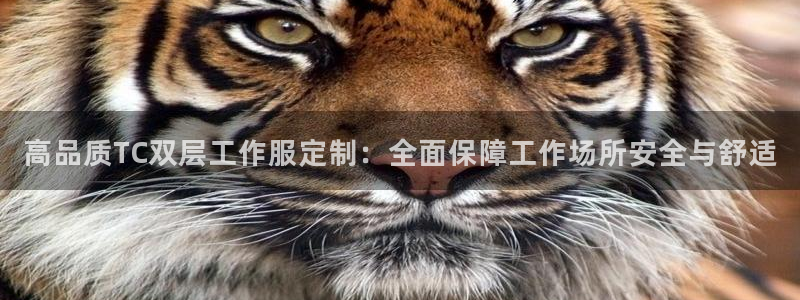 头号玩家娱乐app官网|高品质TC双层工作服定制:全面保障工作场所安全与舒适