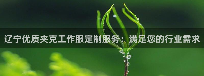 龙8头号玩家(国际)官方网站|辽宁优质夹克工作服定制服务:满足您的行业需求