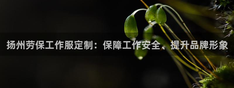 龙8国际官网点此进入|扬州劳保工作服定制：保障工作安全、提升品牌形象